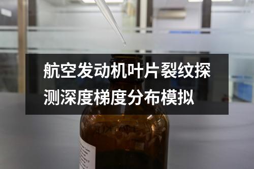 航空發(fā)動機(jī)葉片裂紋探測深度梯度分布模擬