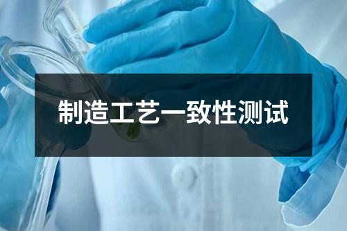制造工藝一致性測試