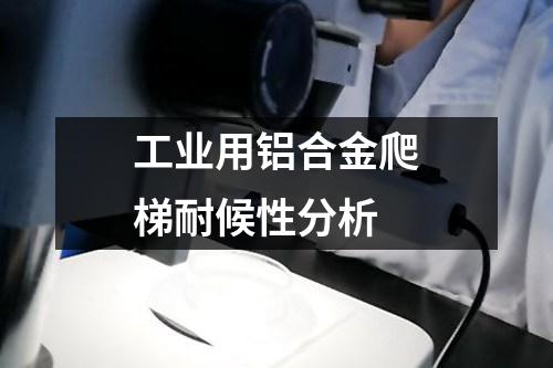 工業(yè)用鋁合金爬梯耐候性分析