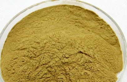綠原酸檢測(cè)