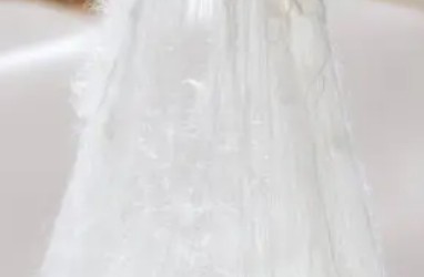 桑蠶絲檢測(cè)