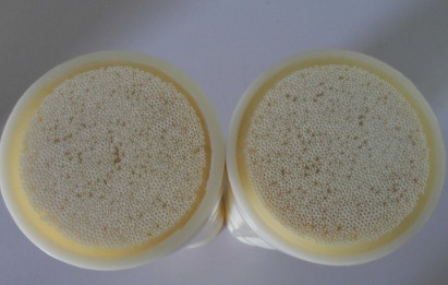 中空纖維膜檢測(cè)