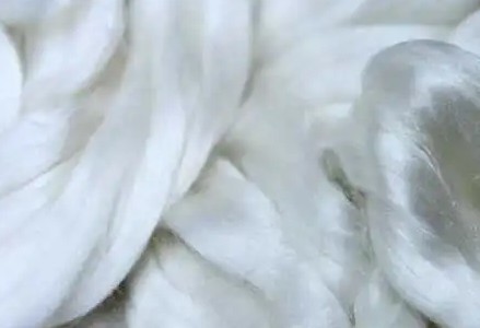 蠶膠絲檢測(cè)