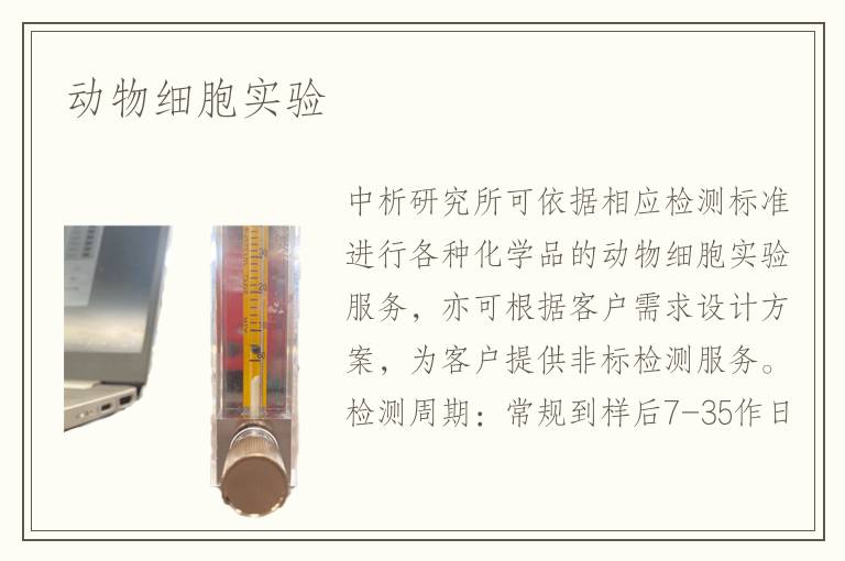 動物細(xì)胞實驗