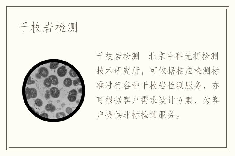 千枚巖檢測