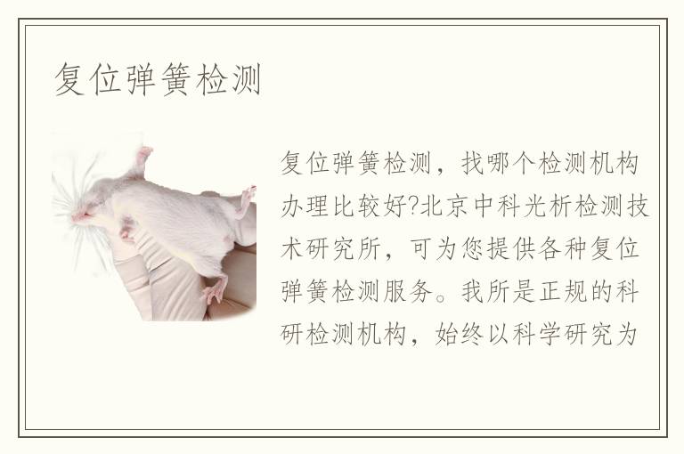 復位彈簧檢測
