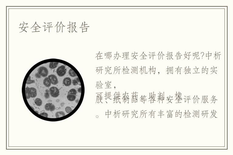 安全評(píng)價(jià)報(bào)告