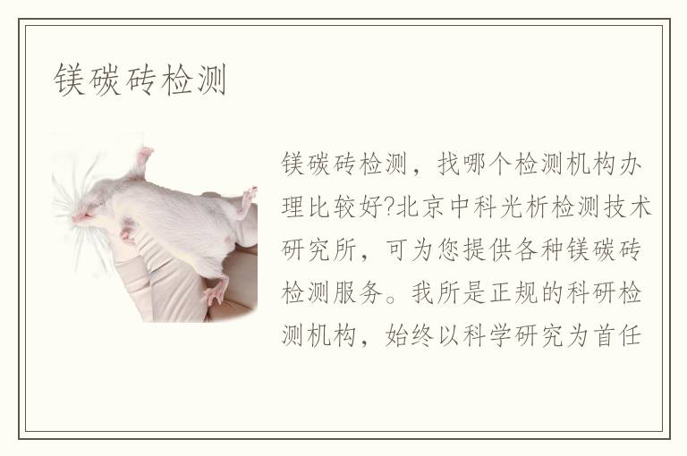 鎂碳磚檢測