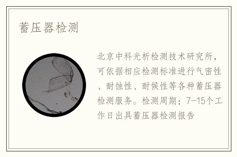 蓄壓器檢測