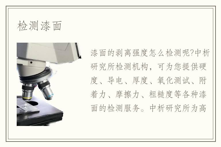 檢測漆面