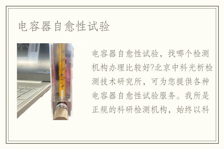 電容器自愈性試驗(yàn)
