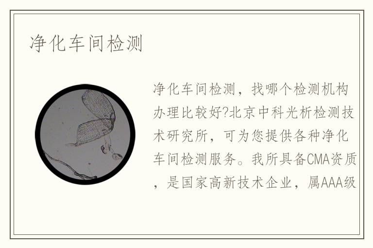 凈化車間檢測