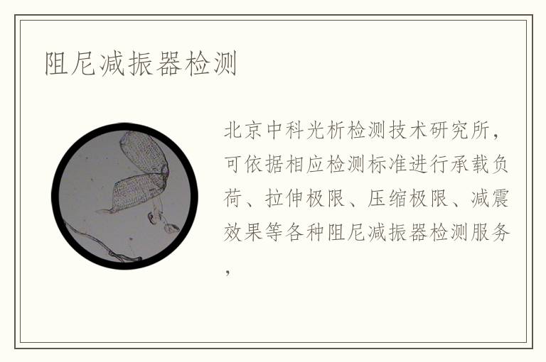 阻尼減振器檢測(cè)