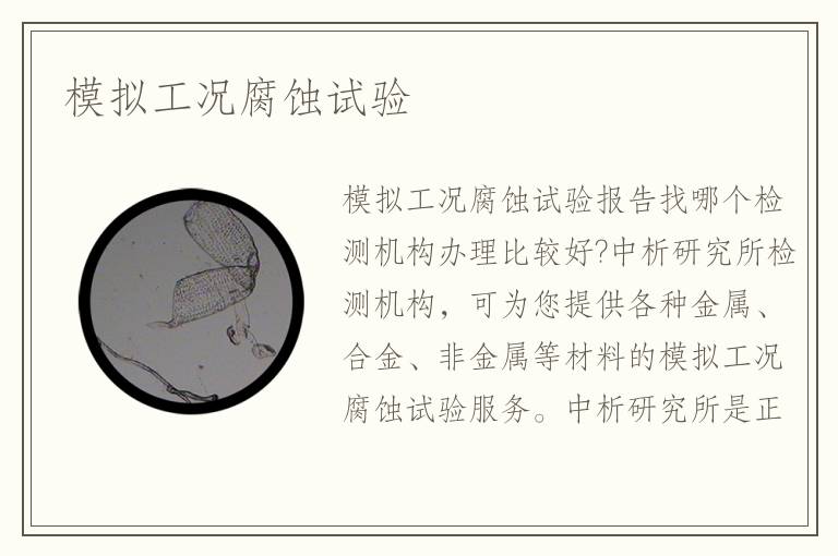 模擬工況腐蝕試驗
