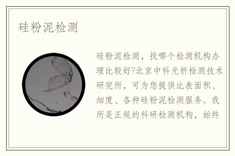 硅粉泥檢測(cè)