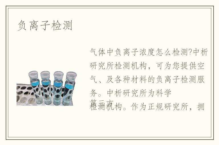 負(fù)離子檢測