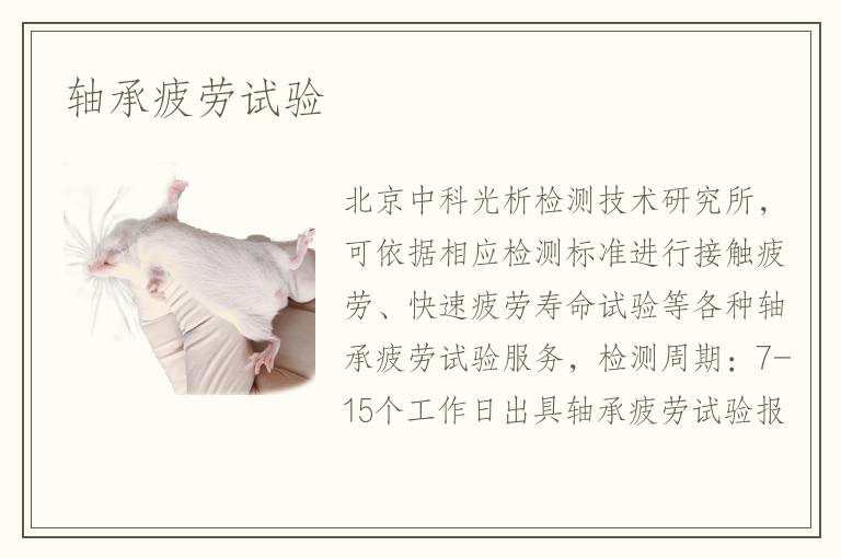 軸承疲勞試驗(yàn)