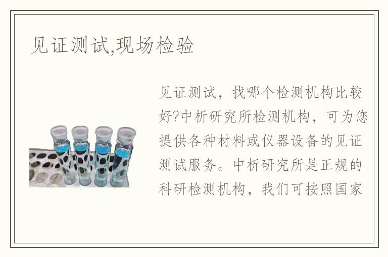 見證測試,現場檢驗