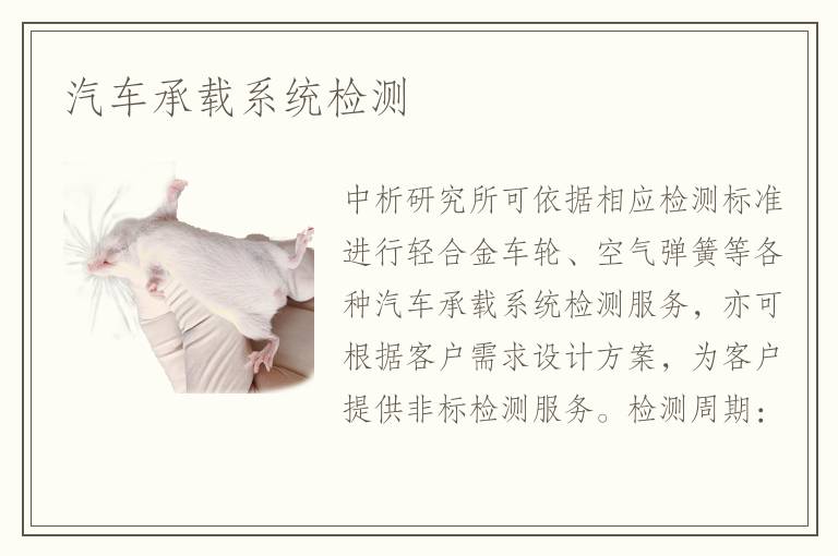 汽車承載系統(tǒng)檢測