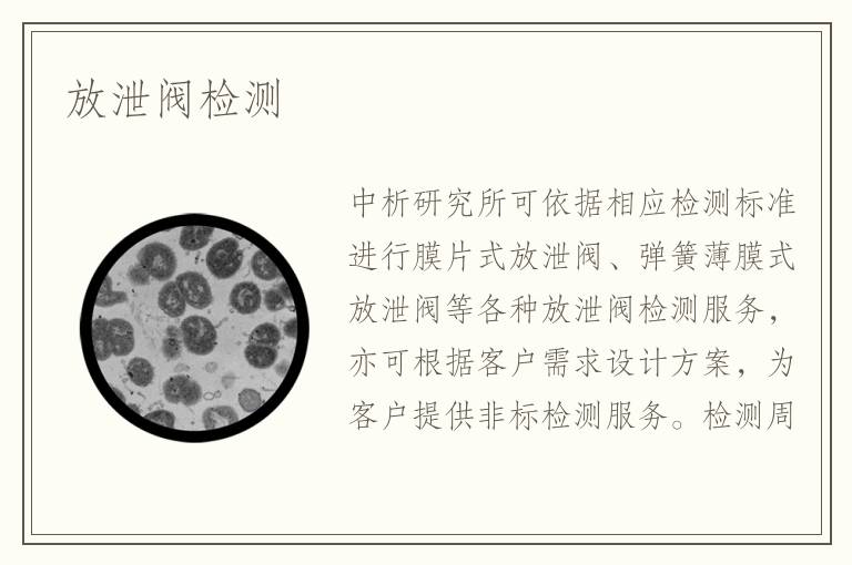 放泄閥檢測(cè)