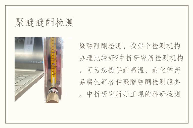 聚醚醚酮檢測(cè)
