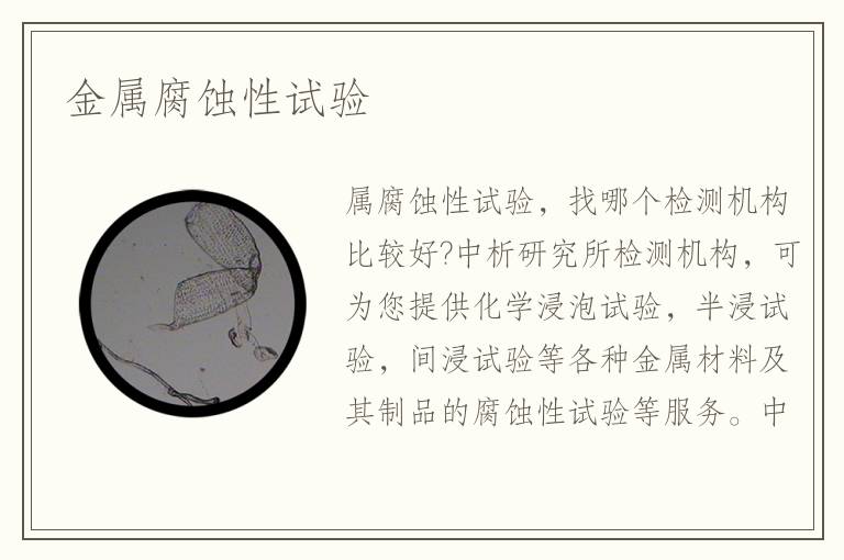 金屬腐蝕性試驗