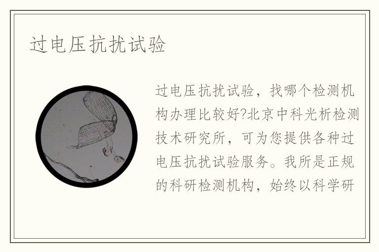 過電壓抗擾試驗