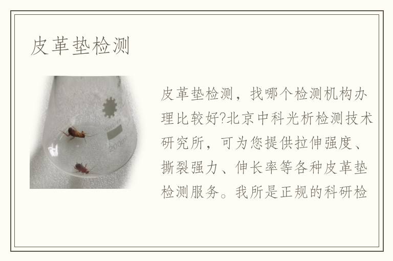 皮革墊檢測