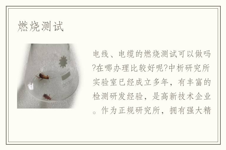 燃燒測試