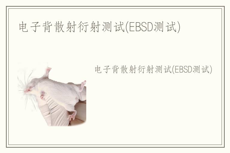 電子背散射衍射測試(EBSD測試)