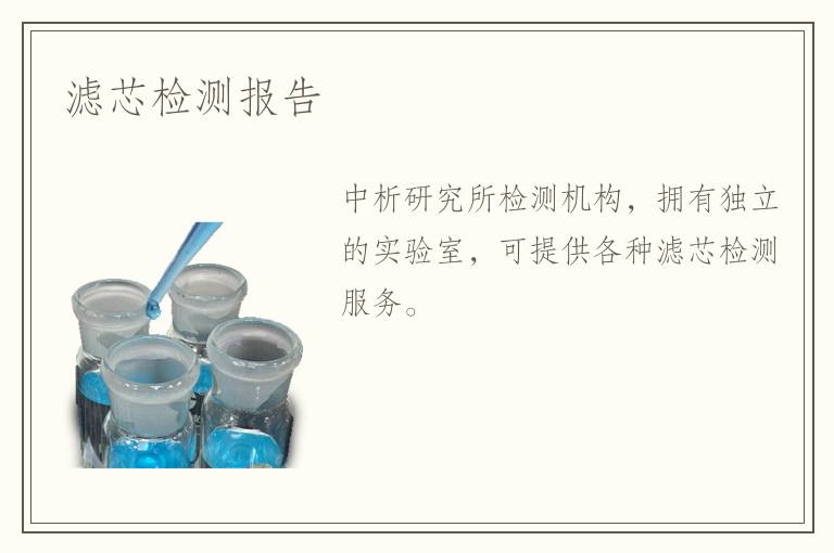 濾芯檢測(cè)報(bào)告