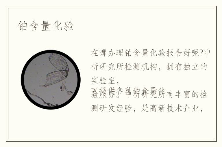 鉑含量化驗(yàn)