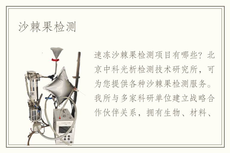 沙棘果檢測