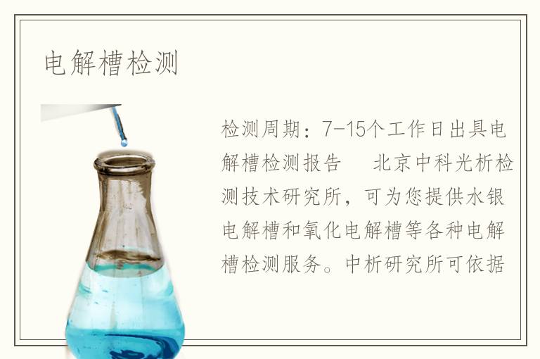 電解槽檢測
