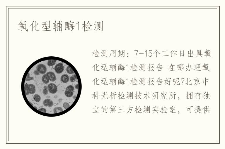 氧化型輔酶1檢測(cè)