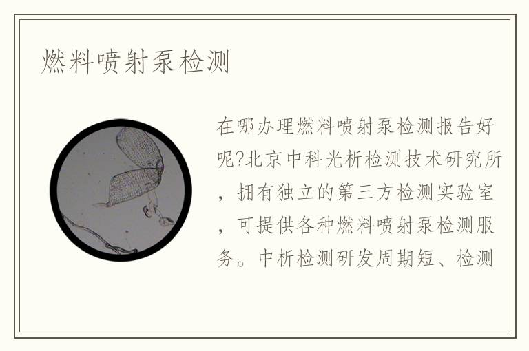 燃料噴射泵檢測
