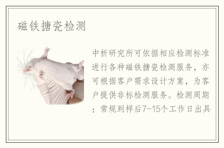 磁鐵搪瓷檢測(cè)