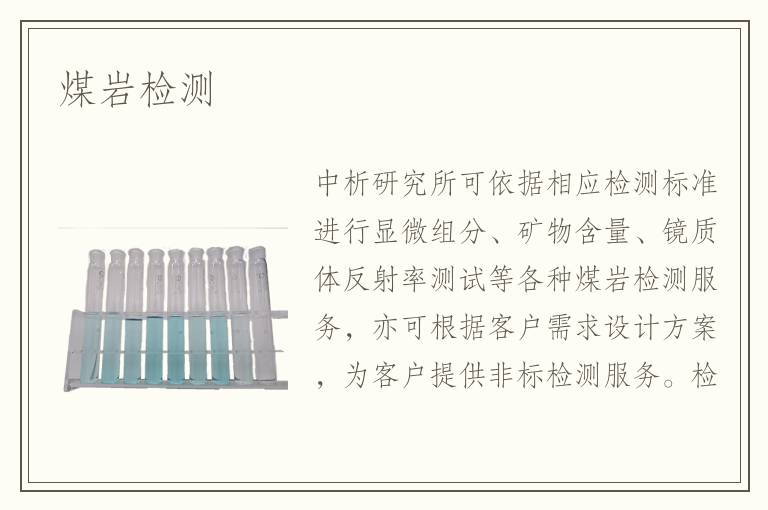 煤巖檢測(cè)